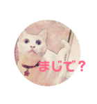 mipo's（個別スタンプ：7）