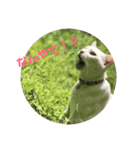 mipo's（個別スタンプ：9）