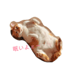 mipo's（個別スタンプ：11）