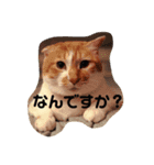 mipo's（個別スタンプ：13）