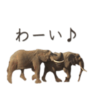 アフリカの仲間たち（個別スタンプ：9）