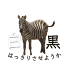 アフリカの仲間たち（個別スタンプ：13）