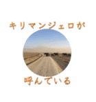 アフリカの仲間たち（個別スタンプ：16）