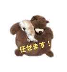 チワワのアリス ②（個別スタンプ：21）