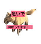 コロ助の日常Part2（個別スタンプ：5）