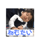 あきしとまろ②（個別スタンプ：11）
