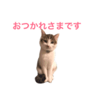 むった その2（個別スタンプ：8）