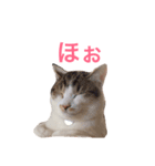むった その2（個別スタンプ：12）