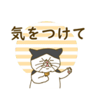 ぽっちゃり猫のでか文字スタンプ（個別スタンプ：19）