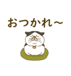 ぽっちゃり猫のでか文字スタンプ（個別スタンプ：24）