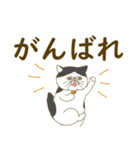 ぽっちゃり猫のでか文字スタンプ（個別スタンプ：28）