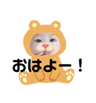ゆづキングの写真スタンプ（個別スタンプ：2）
