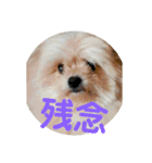 ヒメのスタンプ（個別スタンプ：2）