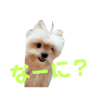 ヒメのスタンプ（個別スタンプ：8）