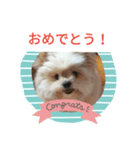 ヒメのスタンプ（個別スタンプ：11）