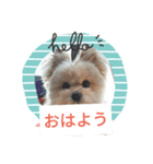 ヒメのスタンプ（個別スタンプ：15）