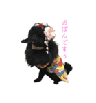 ガブリエルの日常スタンプ（個別スタンプ：4）