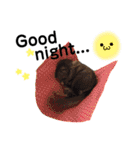 我が家のチビちゃんず3（個別スタンプ：14）