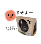 我が家のチビちゃんず3（個別スタンプ：15）