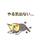ほのぼのオカメインコ（個別スタンプ：1）