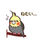 ほのぼのオカメインコ（個別スタンプ：4）