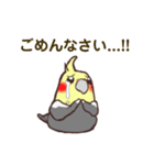 ほのぼのオカメインコ（個別スタンプ：6）