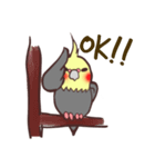 ほのぼのオカメインコ（個別スタンプ：7）
