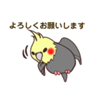 ほのぼのオカメインコ（個別スタンプ：8）