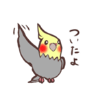 ほのぼのオカメインコ（個別スタンプ：11）