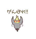 ほのぼのオカメインコ（個別スタンプ：13）