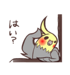 ほのぼのオカメインコ（個別スタンプ：14）