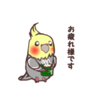 ほのぼのオカメインコ（個別スタンプ：16）