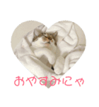 まめたのスタンプ（個別スタンプ：2）