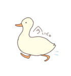 ゆるーいあにまる。（個別スタンプ：5）