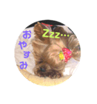 ベティーちゃん（個別スタンプ：5）