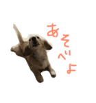 きょうのりおた（個別スタンプ：1）