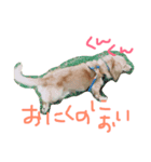 きょうのりおた（個別スタンプ：6）
