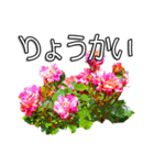 ビビッドな花達（個別スタンプ：7）