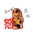 翔と5（個別スタンプ：7）