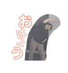 チャラんぽらん（個別スタンプ：1）