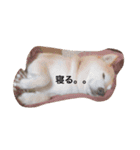 愛犬 リッキー（個別スタンプ：7）