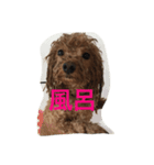 Rooney君パート1フォント改正版（個別スタンプ：4）