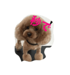 Rooney君パート1フォント改正版（個別スタンプ：5）