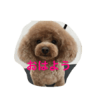 Rooney君パート1フォント改正版（個別スタンプ：6）