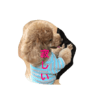 Rooney君パート1フォント改正版（個別スタンプ：10）