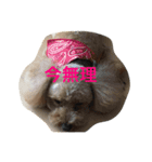 Rooney君パート1フォント改正版（個別スタンプ：15）