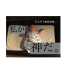 あさひ君の親バカスタンプ 2（個別スタンプ：34）