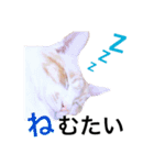 きしん＆ポリス（個別スタンプ：3）