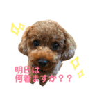 こてつとぽっけといと（個別スタンプ：16）