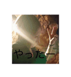 伝説のクソあさひの日常（個別スタンプ：17）
